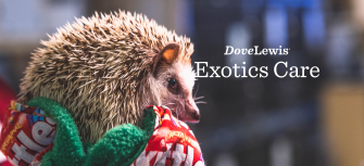 Exotics Veterinary Care DoveLewis